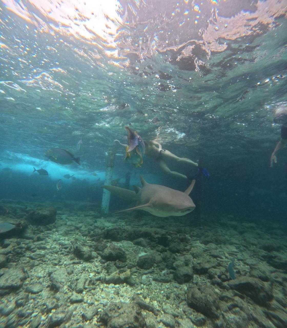 Nirili Villa Dhiffushi Exteriör bild