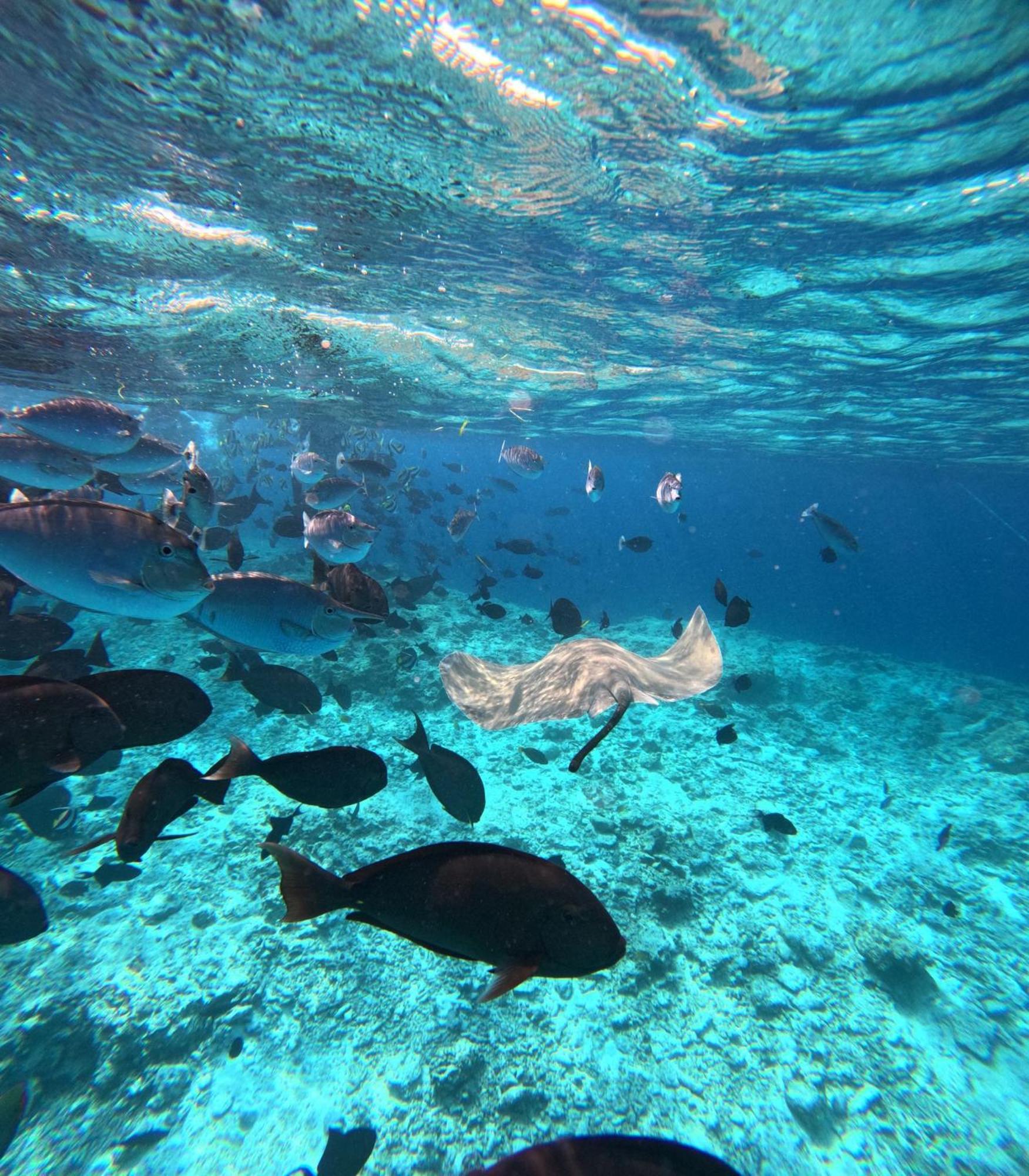 Nirili Villa Dhiffushi Exteriör bild