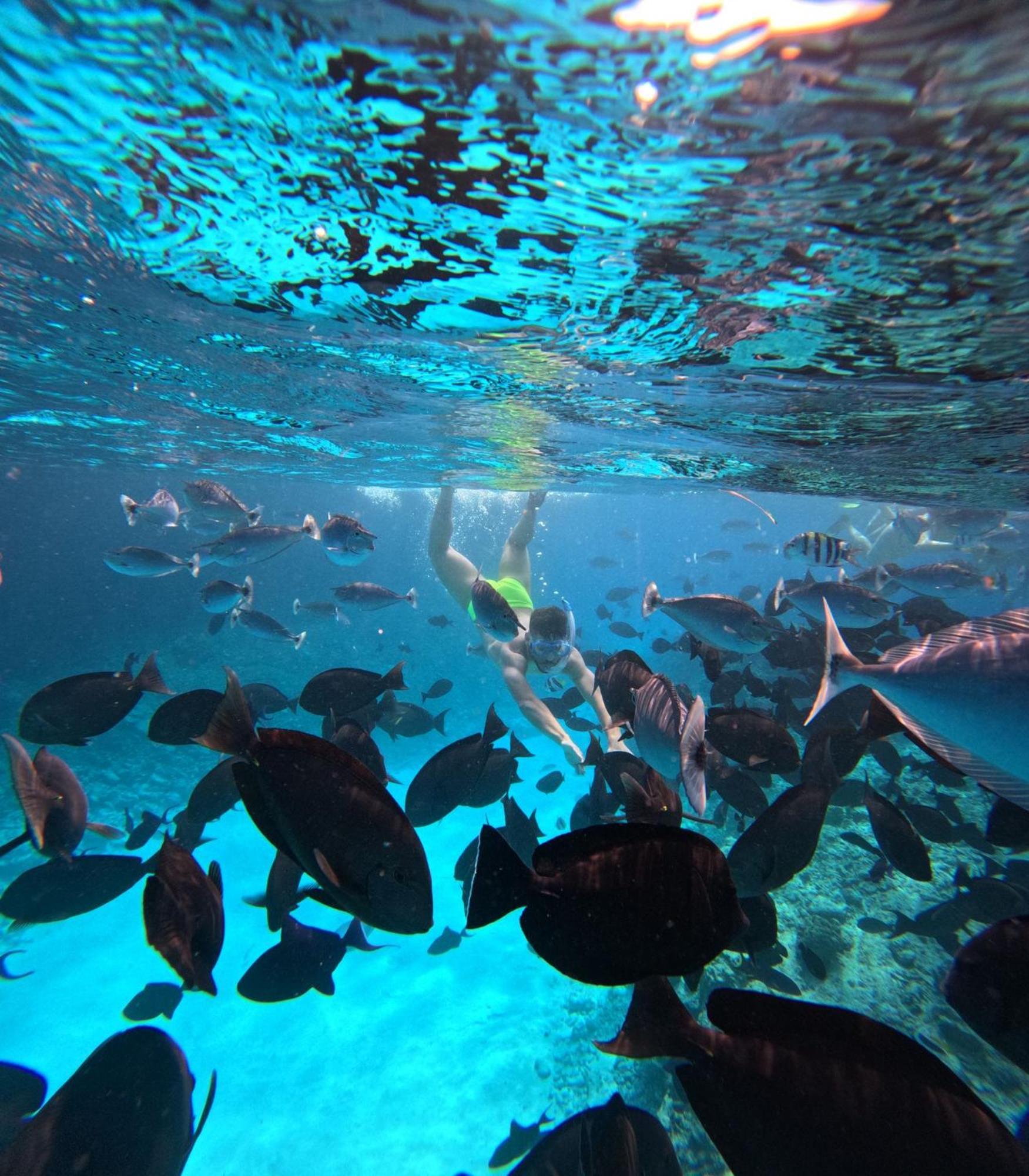 Nirili Villa Dhiffushi Exteriör bild